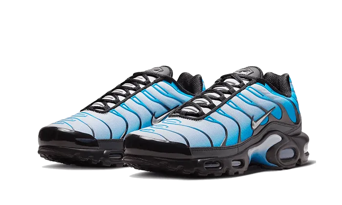 Nike Air Max Plus Blue Gradient - FQ0204-010