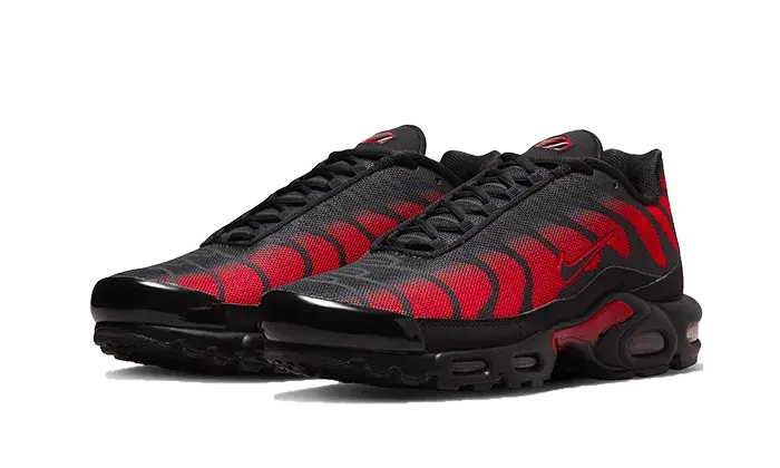 Nike Air Max Plus Bred Reflective - DZ4507-600