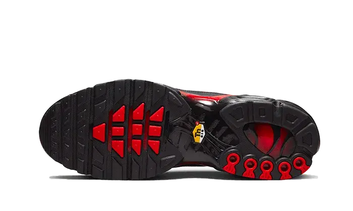 Nike Air Max Plus Bred Reflective - DZ4507-600