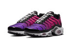 Nike Air Max Plus Dusk - DZ3670-500