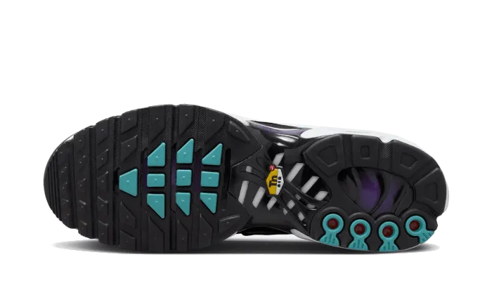 Nike Air Max Plus Reverse Grape - FQ2415-500