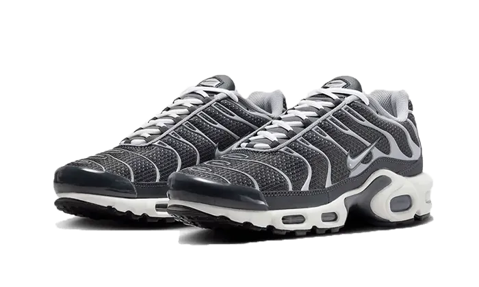 Nike Air Max Plus SE Greyscale Cool Grey - DZ2655-001