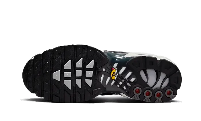 Nike Air Max Plus SE Greyscale Cool Grey - DZ2655-001