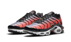 Nike Air Max Plus Sisterhood - DO6115-500