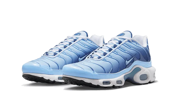 Nike Air Max Plus University Blue Gradient - FJ4736-400