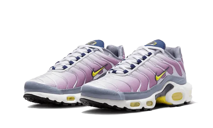 Nike Air Max Plus Violet Dust - FN8007-500
