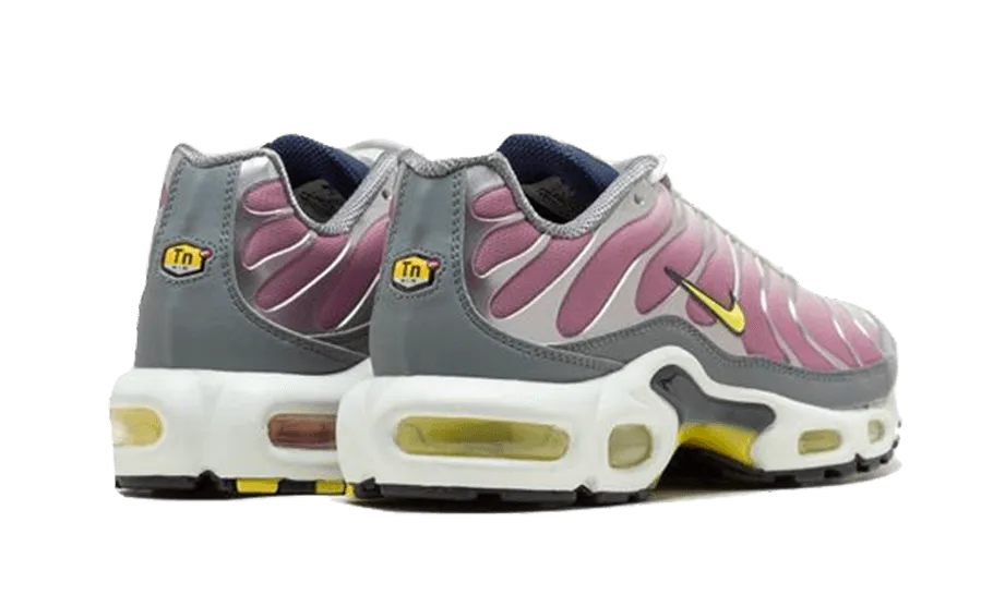 Nike Air Max Plus Violet Dust - FN8007-500