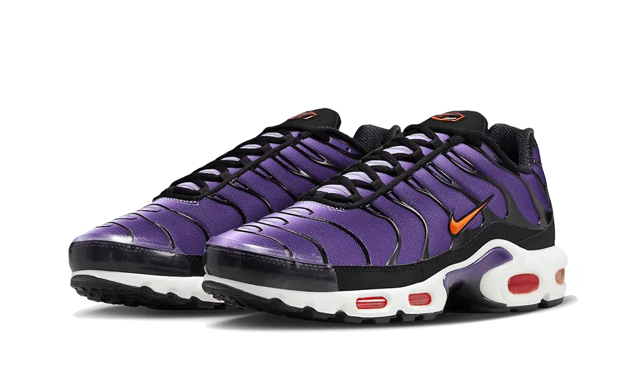 Nike Air Max Plus Voltage Purple - CD0609-024 / DX0755-500