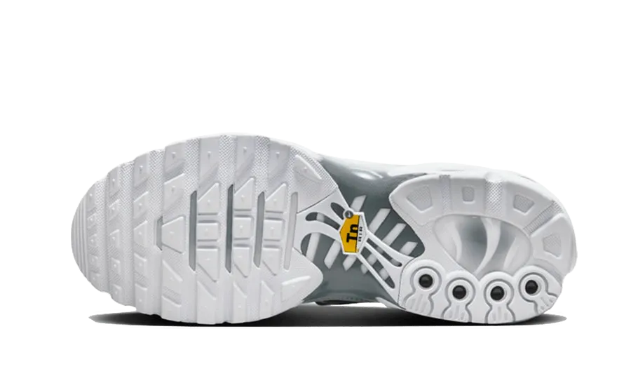 Nike Air Max Plus White Metallic Silver - FV0952-100