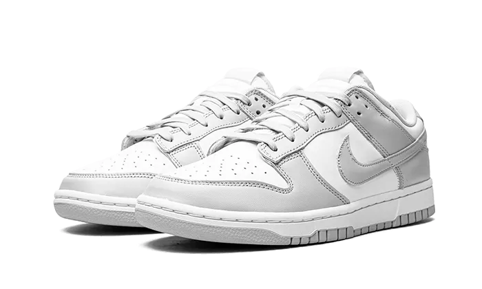 Nike Dunk Low Grey Fog Capet Shop