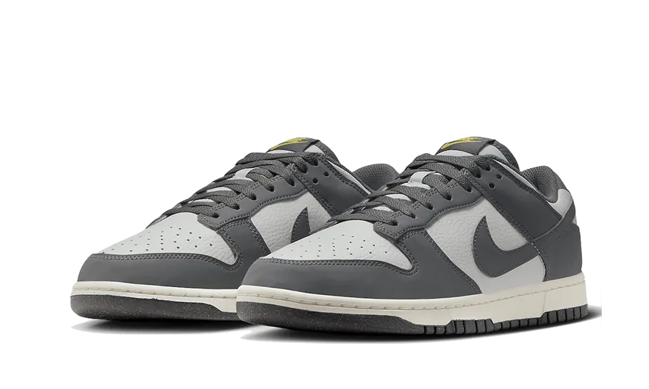 Nike Dunk Low Next Nature Iron Grey Lightning - FZ4621-001