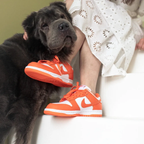 Nike Dunk Low SP Orange Blaze (Syracuse) - CU1726-101