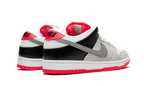 Nike SB Dunk Low Infrared - CD2563-004